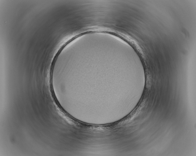 X0000111361231200908211249