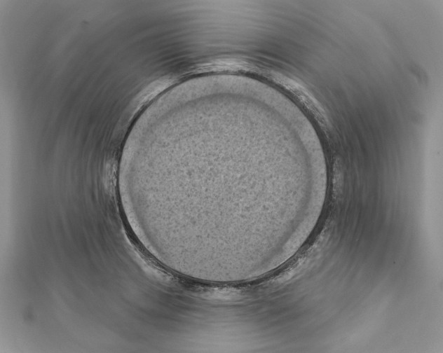 X0000111361233200908211249