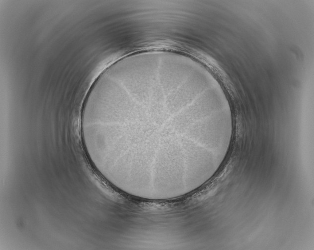 X0000111361234200908211249