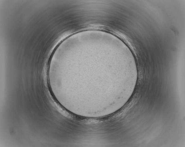 X0000111361235200908211249