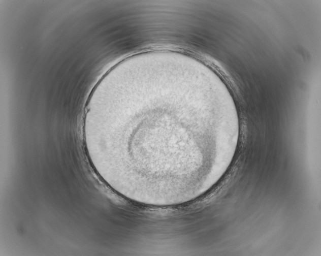 X0000111361236200908211249