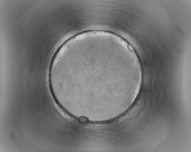 X0000111361237200908211249