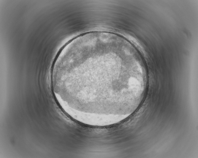 X0000111361238200908211249