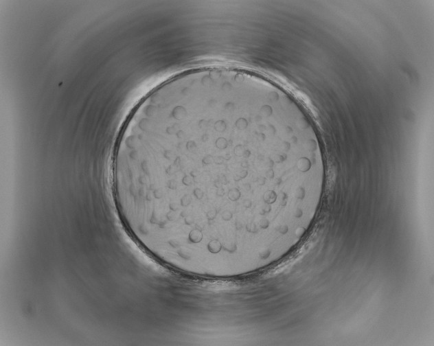 X0000111361239200908211249