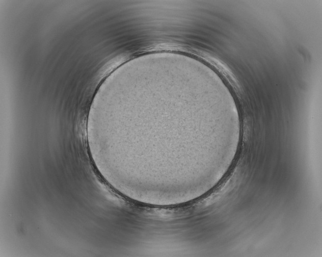 X0000111361241200908211249