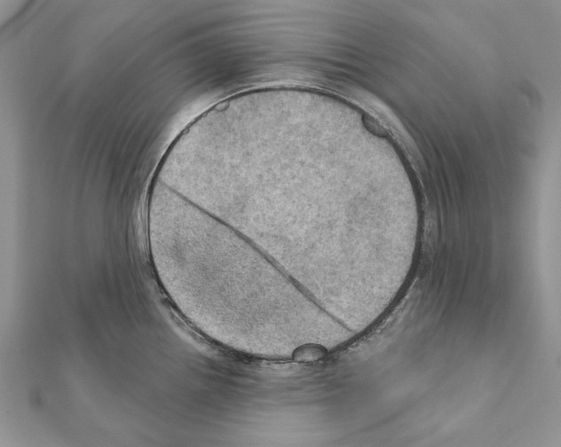 X0000111361242200908211249