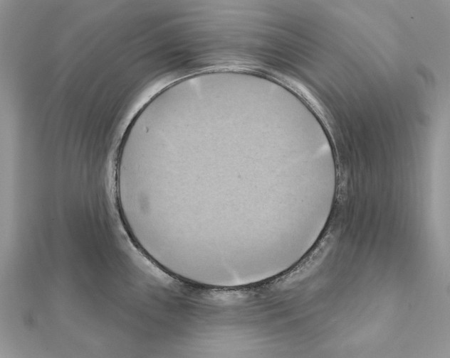 X0000111361243200908211249