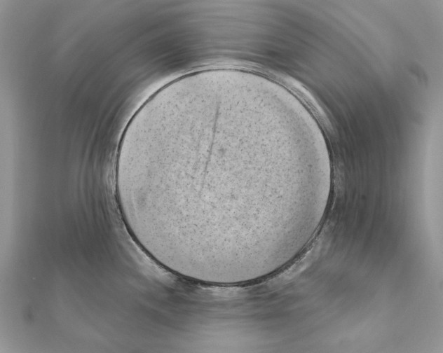 X0000111361244200908211249