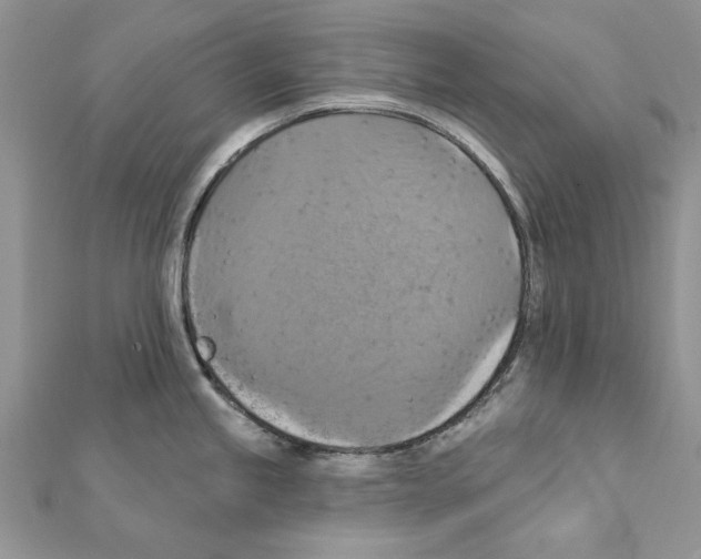 X0000111361245200908211249