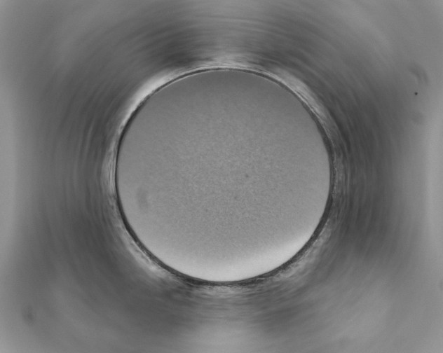 X0000111361246200908211249