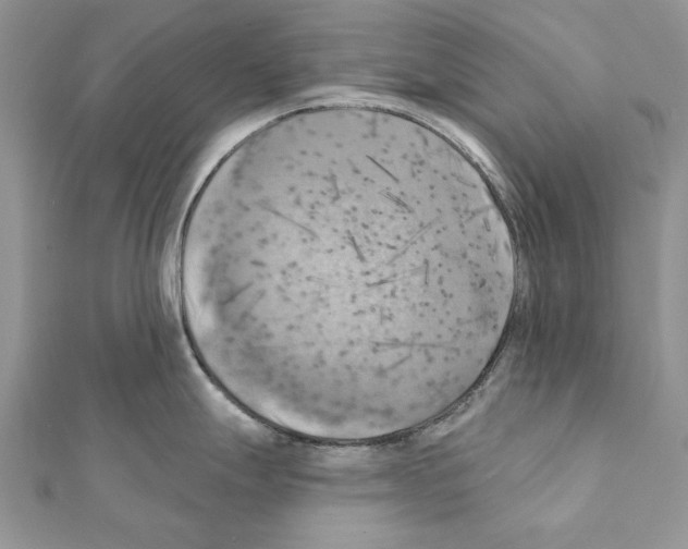 X0000111361247200908211249