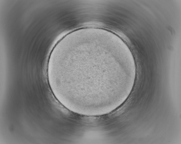 X0000111361248200908211249