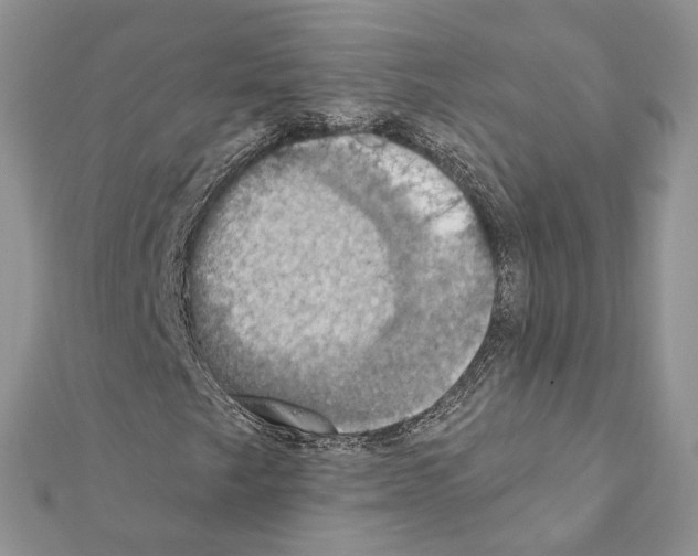 X0000111361249200908211249