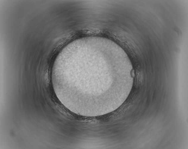 X0000111361250200908211249