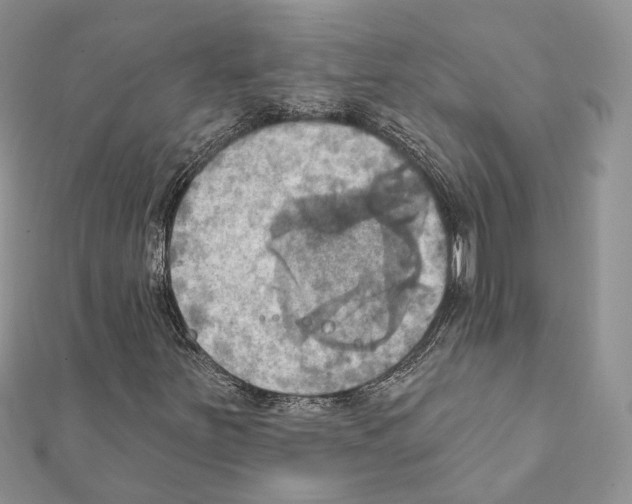 X0000111361251200908211249