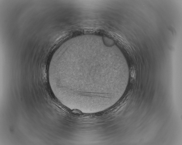 X0000111361252200908211249