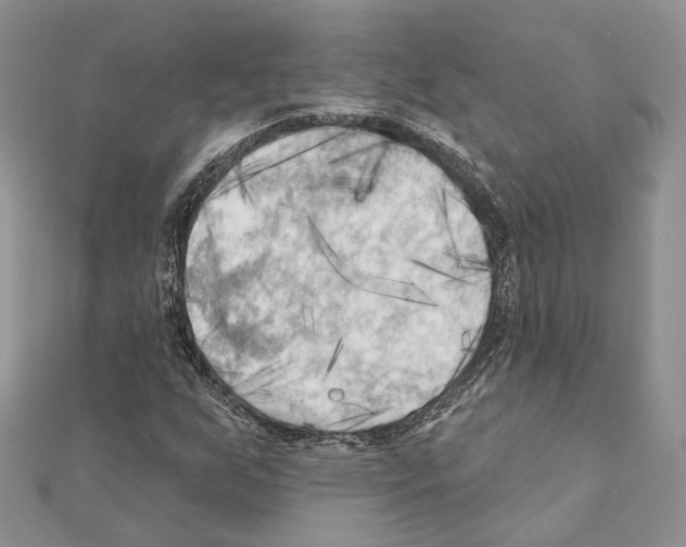 X0000111361255200908211248