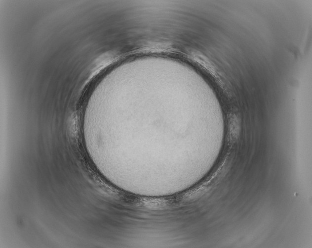 X0000111361258200908211248