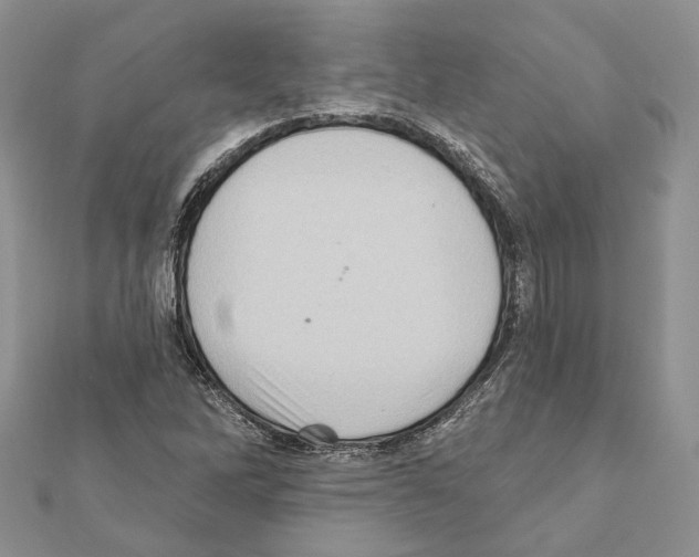 X0000111361262200908211248