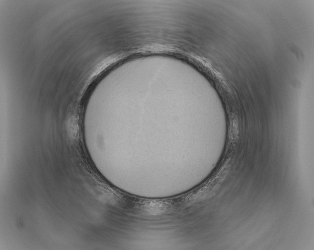 X0000111361266200908211248