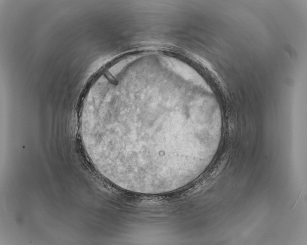 X0000111361267200908211248