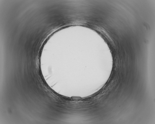 X0000111361268200908211248