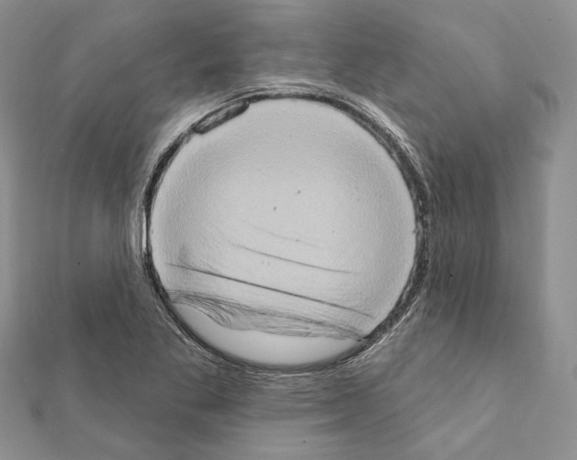X0000111361269200908211248