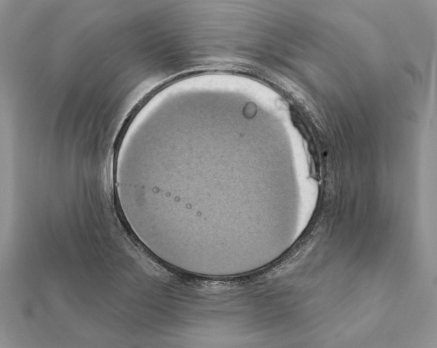 X0000111361275200908211248