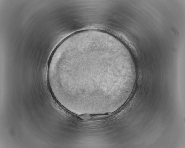 X0000111361276200908211248