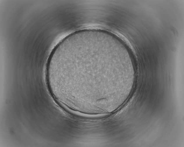 X0000111361277200908211248