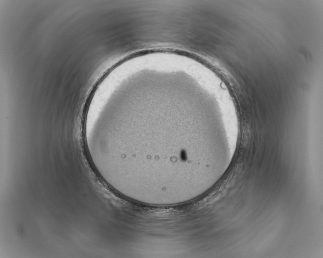 X0000111361279200908211248