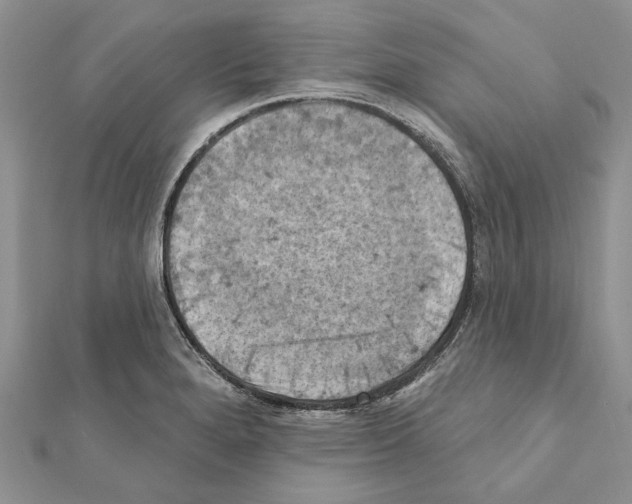 X0000111361280200908211248