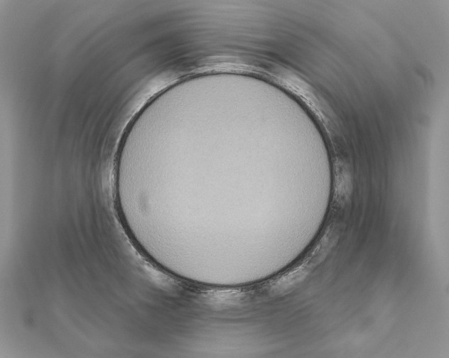 X0000111361282200908211248