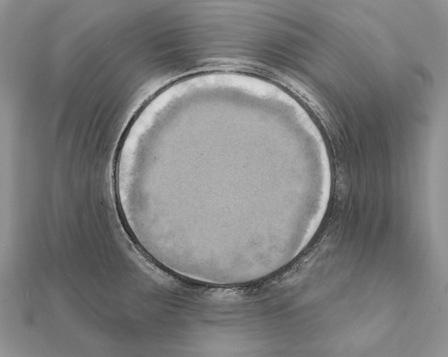 X0000111361283200908211248