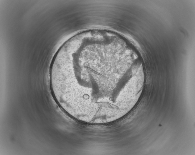 X0000111361287200908211248