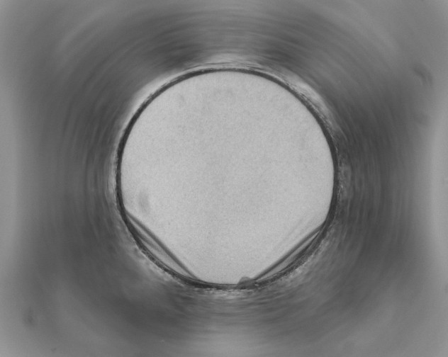 X0000111361288200908211248