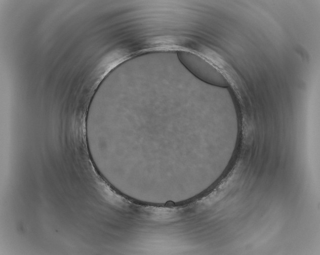 X0000111361289200908211248