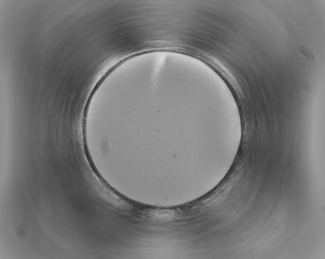 X0000111361291200908211248