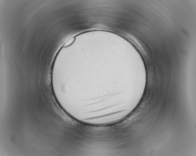X0000111361292200908211248