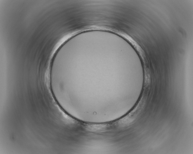 X0000111361294200908211248