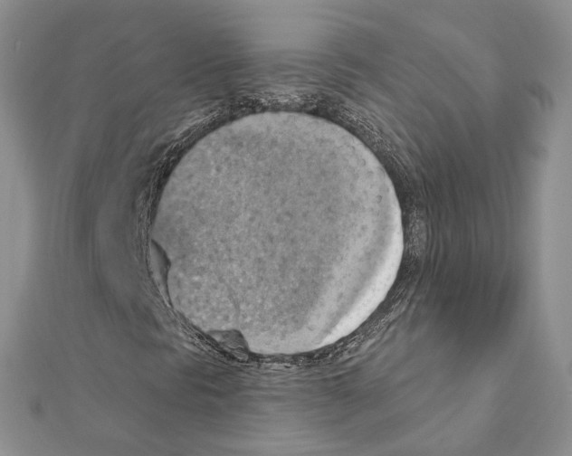 X0000111361297200908211247