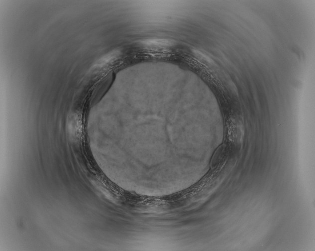 X0000111361298200908211247