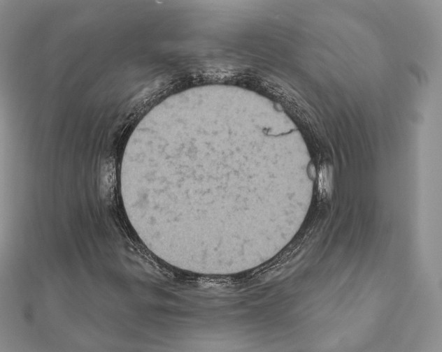 X0000111361299200908211247