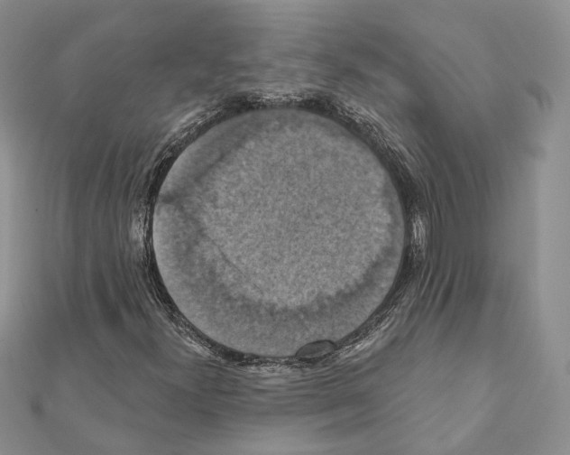 X0000111361300200908211247