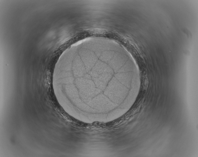 X0000111361301200908211247