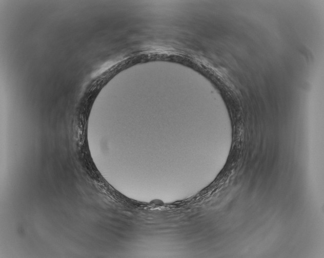 X0000111361303200908211247