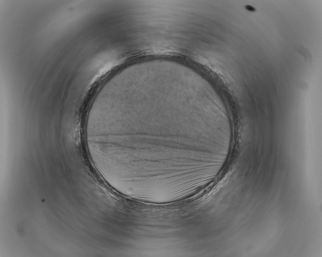 X0000111361306200908211247