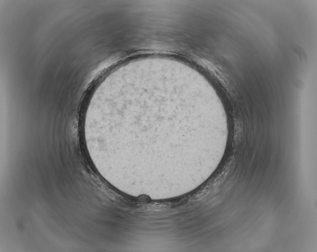 X0000111361307200908211247