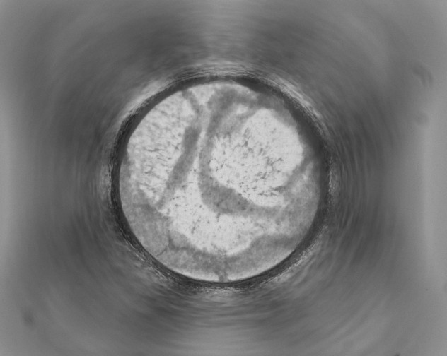 X0000111361309200908211247