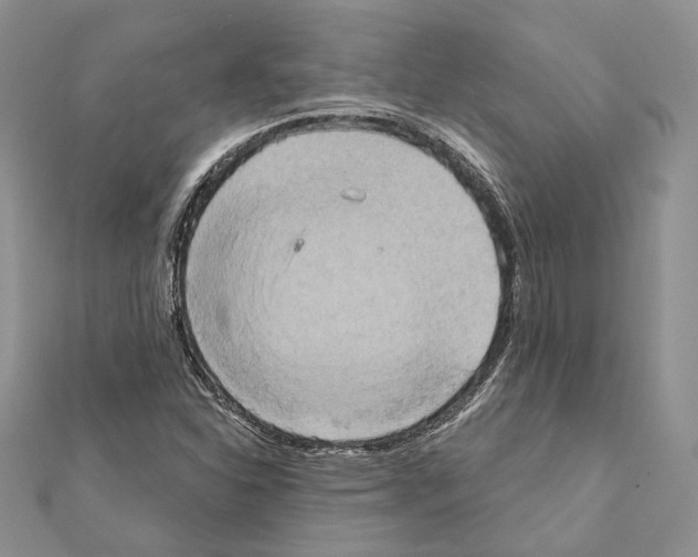 X0000111361310200908211247